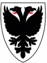 AFC Wimbledon Femenino