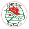 Reservas de Adamstown Rosebud