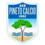 ASD Pineto Calcio Sub-19