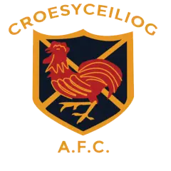 Croesyceiliog