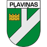 Pļaviņas DM