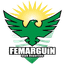 CD Femarguín Femenino
