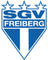 SGV Freiberg Youth