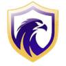 Falcon FC SE Juvenil