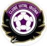 Vital Ibiuna SP Youth