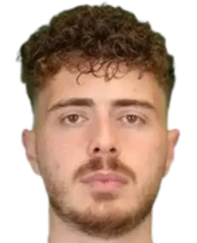 Ozgun Ali Koklu