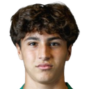 Martim Martins