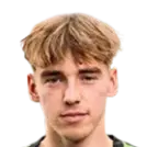 Viggo Martens