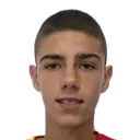 Petar Anicic