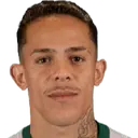 Wallisson Luiz Alves Máximo