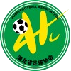 Hubei U16 Hubei U16