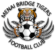 Menai Bridge Tigers Menai Bridge Tigers