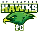 Mount Gravatt Hawks