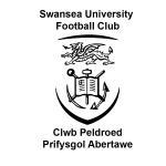 Universidad de Swansea