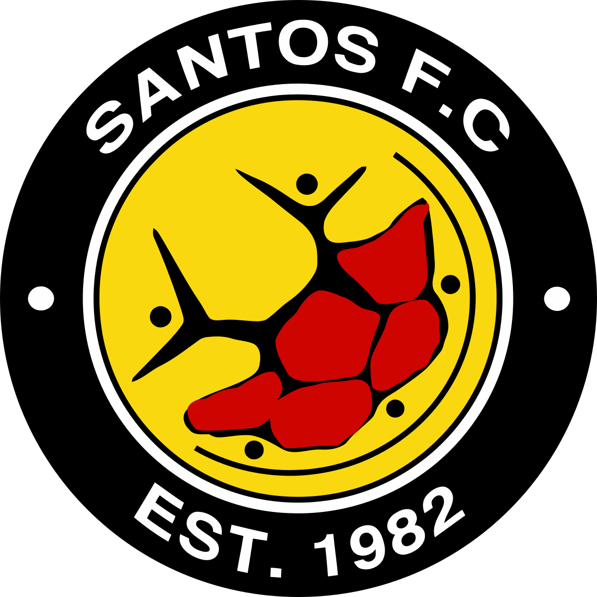 Santos Cidade do Cabo