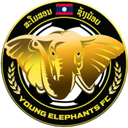 Young Elephants (W)