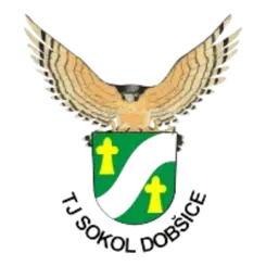 Sokol Dobsice