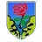 ASD Seravezza Calcio