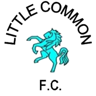 Little Common FC Little Common FC