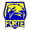 Forte FC Juvenil Forte FC Juvenil
