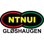 NTNUI NTNUI