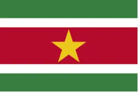 Suriname Indoor Soccer
