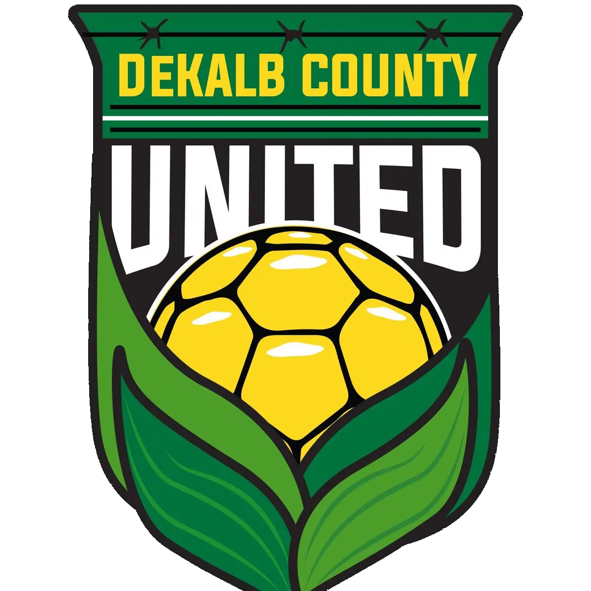 DeKalb County United (W)