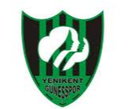 Sakarya Yenikent Gunesspor (femenino)
