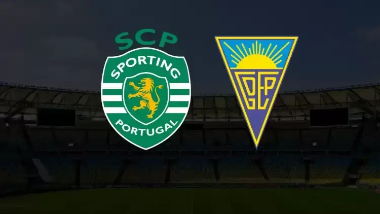 Portuguese Primera Liga,Sporting CP VS Estoril,Prediction,camel.live